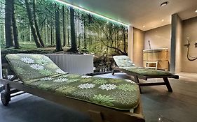 Apartament Pod Wyciągiem - Czarna Góra Resort&SPA